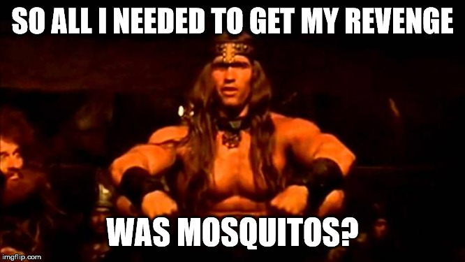 conan crush your enemies | SO ALL I NEEDED TO GET MY REVENGE WAS MOSQUITOS? | image tagged in conan crush your enemies | made w/ Imgflip meme maker