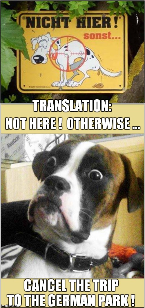 Achtung Dog Walkers ! | TRANSLATION:; NOT HERE !  OTHERWISE ... CANCEL THE TRIP TO THE GERMAN PARK ! | image tagged in fun,dogs | made w/ Imgflip meme maker