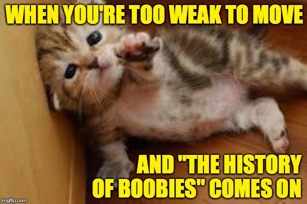 Somebody help me! | WHEN YOU'RE TOO WEAK TO MOVE; AND "THE HISTORY OF BOOBIES" COMES ON | image tagged in sad kitten goodbye,memes,boobies,help me | made w/ Imgflip meme maker