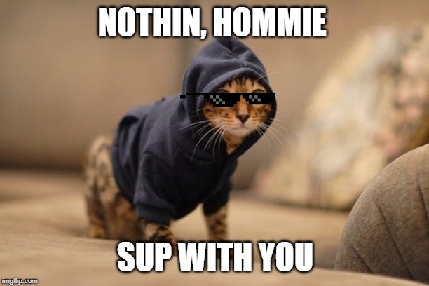 Hoody Cat Meme | NOTHIN, HOMMIE SUP WITH YOU | image tagged in memes,hoody cat | made w/ Imgflip meme maker