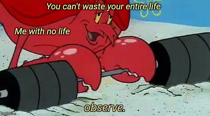 Observe | You can't waste your entire life; Me with no life | image tagged in observe | made w/ Imgflip meme maker