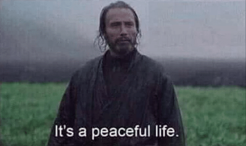 High Quality It’s a peaceful life Blank Meme Template