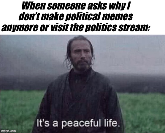 When someone asks why I don’t make political memes anymore or visit the politics stream: | image tagged in blank white template,its a peaceful life | made w/ Imgflip meme maker