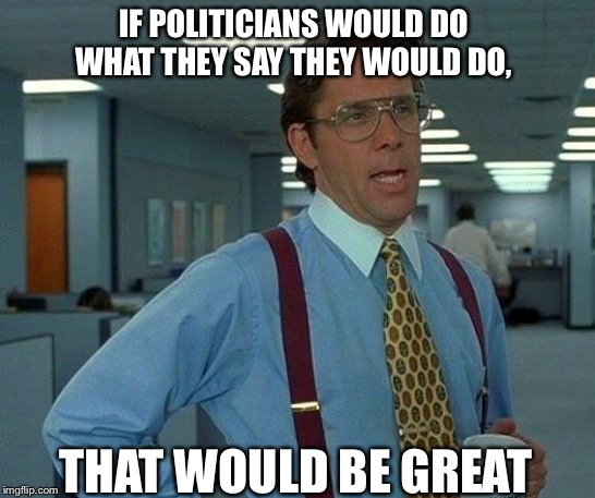 That Would Be Great | IF POLITICIANS WOULD DO WHAT THEY SAY THEY WOULD DO, THAT WOULD BE GREAT | image tagged in memes,that would be great | made w/ Imgflip meme maker