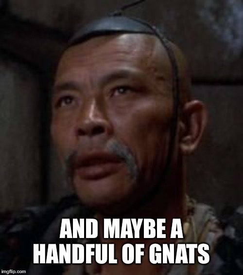 AND MAYBE A HANDFUL OF GNATS | made w/ Imgflip meme maker