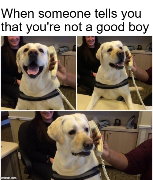 Doggo phone | When someone tells you that you're not a good boy | image tagged in memes,doggos,funny dogs | made w/ Imgflip meme maker
