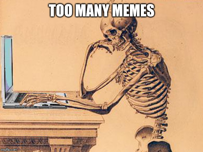 Skeleton at laptop | TOO MANY MEMES | image tagged in skeleton at laptop | made w/ Imgflip meme maker