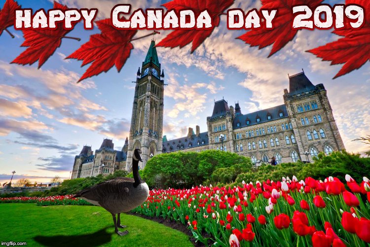 happy Canada day 2019 | image tagged in happy canada day 2019,canada day,maple leaf,canada goose,meme,memes | made w/ Imgflip meme maker