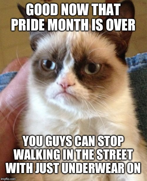 Grumpy Cat | GOOD NOW THAT PRIDE MONTH IS OVER; YOU GUYS CAN STOP WALKING IN THE STREET WITH JUST UNDERWEAR ON | image tagged in memes,grumpy cat | made w/ Imgflip meme maker