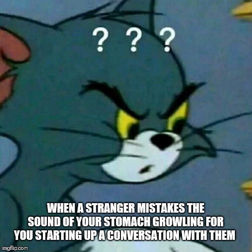 Mildly confused Tom | WHEN A STRANGER MISTAKES THE SOUND OF YOUR STOMACH GROWLING FOR YOU STARTING UP A CONVERSATION WITH THEM | image tagged in hungry mistake,what do you just say,i should probably eat something,triumph_9,lord cheesus | made w/ Imgflip meme maker