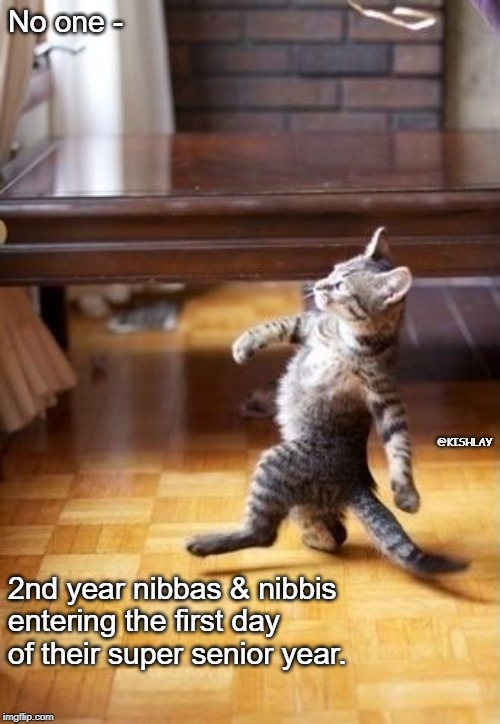 Cool Cat Stroll Meme | No one -; @KISHLAY; 2nd year nibbas & nibbis entering the first day of their super senior year. | image tagged in memes,cool cat stroll | made w/ Imgflip meme maker