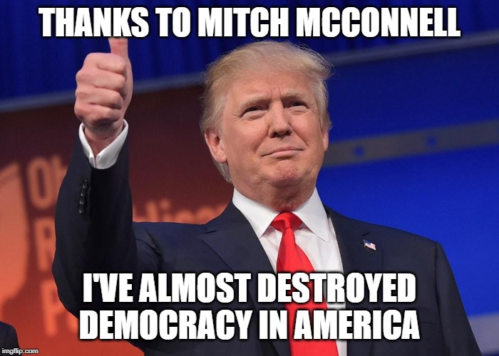 donald trump | THANKS TO MITCH MCCONNELL; I'VE ALMOST DESTROYED DEMOCRACY IN AMERICA | image tagged in donald trump | made w/ Imgflip meme maker