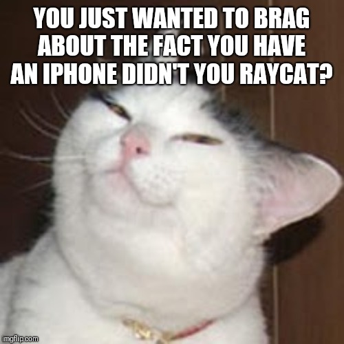 smug cat | YOU JUST WANTED TO BRAG ABOUT THE FACT YOU HAVE AN IPHONE DIDN'T YOU RAYCAT? | image tagged in smug cat | made w/ Imgflip meme maker