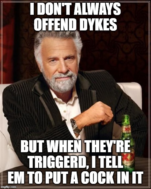 The Most Interesting Man In The World Meme | I DON'T ALWAYS OFFEND DYKES BUT WHEN THEY'RE TRIGGERD, I TELL EM TO PUT A COCK IN IT | image tagged in memes,the most interesting man in the world | made w/ Imgflip meme maker