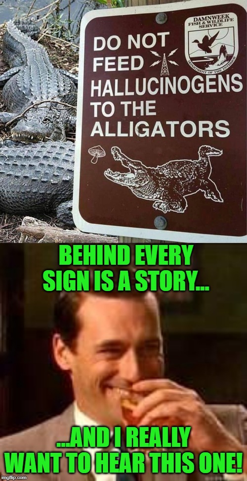 Warning Signs Are Only Posted After the Thing Happens | BEHIND EVERY SIGN IS A STORY... ...AND I REALLY WANT TO HEAR THIS ONE! | image tagged in don draper laughing,shrooms vs gators,alligator,alligators,the truth is out there | made w/ Imgflip meme maker