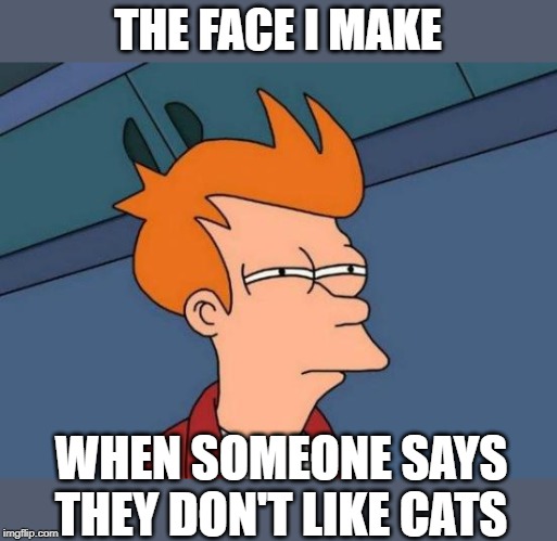 I really don't get those people... | THE FACE I MAKE; WHEN SOMEONE SAYS THEY DON'T LIKE CATS | image tagged in memes,futurama fry,cats | made w/ Imgflip meme maker