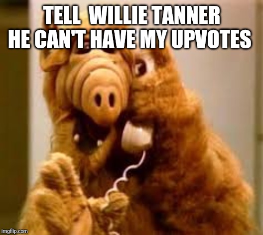 alf | TELL  WILLIE TANNER HE CAN'T HAVE MY UPVOTES | image tagged in alf | made w/ Imgflip meme maker