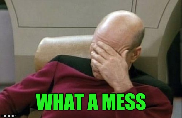 Captain Picard Facepalm Meme | WHAT A MESS | image tagged in memes,captain picard facepalm | made w/ Imgflip meme maker