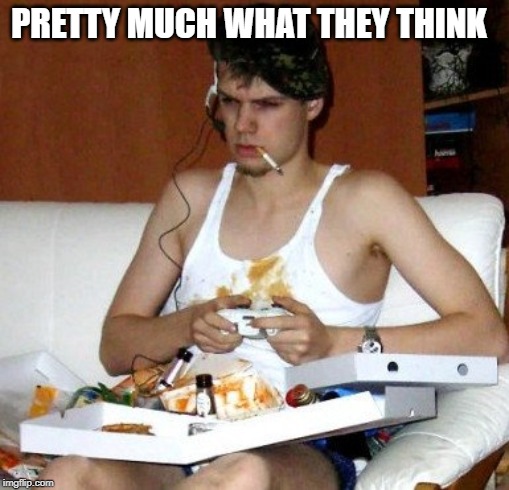 gamer slob | PRETTY MUCH WHAT THEY THINK | image tagged in gamer slob | made w/ Imgflip meme maker