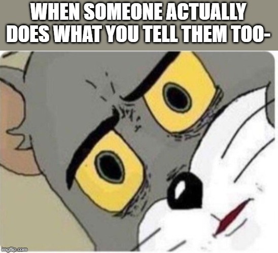 Tom and Jerry meme | WHEN SOMEONE ACTUALLY DOES WHAT YOU TELL THEM TOO- | image tagged in tom and jerry meme | made w/ Imgflip meme maker