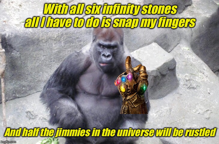 No time for monkeying around | With all six infinity stones all I have to do is snap my fingers; And half the jimmies in the universe will be rustled | image tagged in thanos snap,rustle my jimmies | made w/ Imgflip meme maker