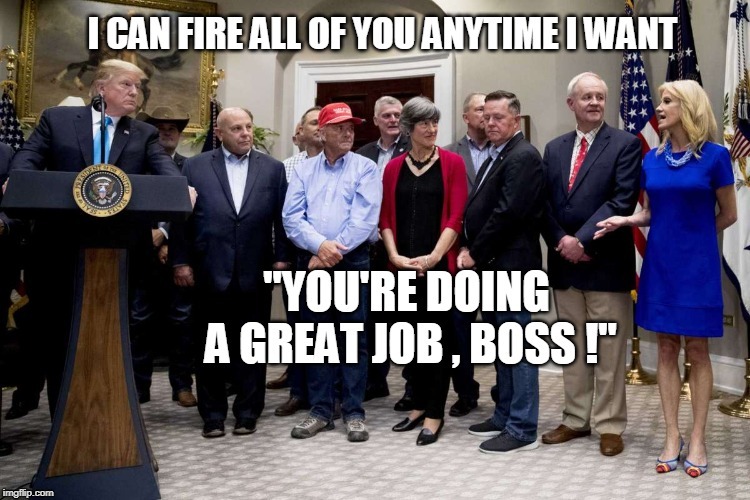 image tagged in trump | made w/ Imgflip meme maker