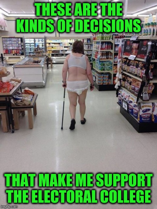This person can vote | THESE ARE THE KINDS OF DECISIONS; THAT MAKE ME SUPPORT THE ELECTORAL COLLEGE | image tagged in poor decision making | made w/ Imgflip meme maker