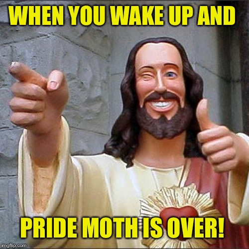 Buddy Christ Meme | WHEN YOU WAKE UP AND; PRIDE MOTH IS OVER! | image tagged in memes,buddy christ | made w/ Imgflip meme maker