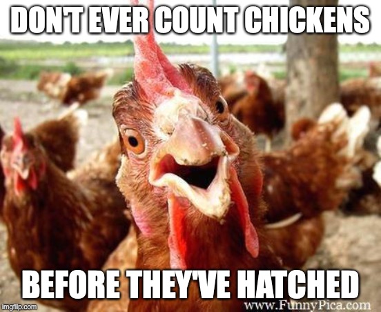 Chicken | DON'T EVER COUNT CHICKENS; BEFORE THEY'VE HATCHED | image tagged in chicken | made w/ Imgflip meme maker