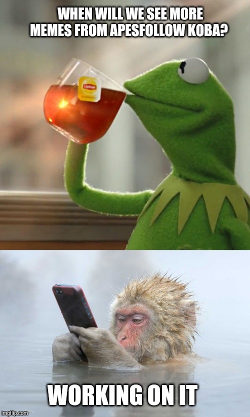 I've missed you all | WHEN WILL WE SEE MORE MEMES FROM APESFOLLOW KOBA? WORKING ON IT | image tagged in memes,but thats none of my business,apesfollowkoba | made w/ Imgflip meme maker