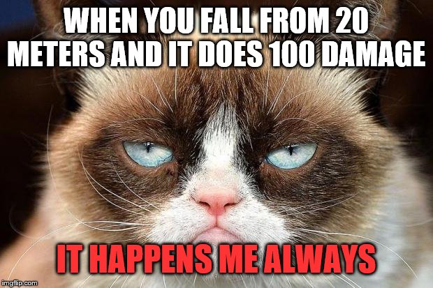 Grumpy Cat Not Amused Meme | WHEN YOU FALL FROM 20 METERS AND IT DOES 100 DAMAGE; IT HAPPENS ME ALWAYS | image tagged in memes,grumpy cat not amused,grumpy cat | made w/ Imgflip meme maker