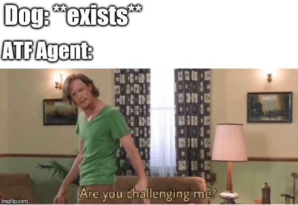 are you challenging me | Dog: **exists**; ATF Agent: | image tagged in are you challenging me | made w/ Imgflip meme maker