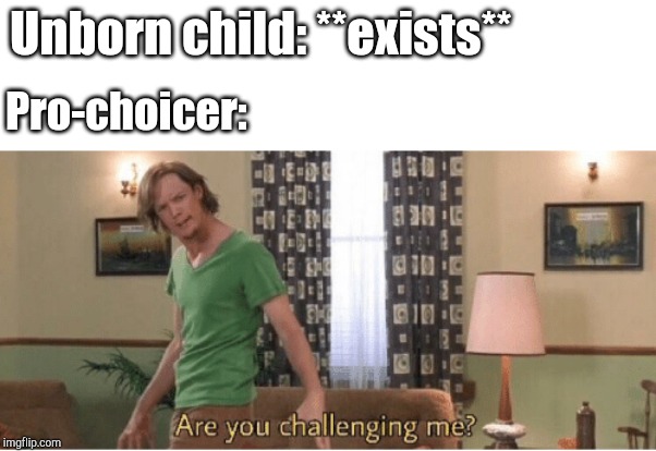 are you challenging me | Unborn child: **exists**; Pro-choicer: | image tagged in are you challenging me | made w/ Imgflip meme maker