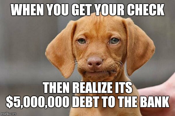 welf dog | WHEN YOU GET YOUR CHECK; THEN REALIZE ITS $5,000,000 DEBT TO THE BANK | image tagged in welf dog | made w/ Imgflip meme maker