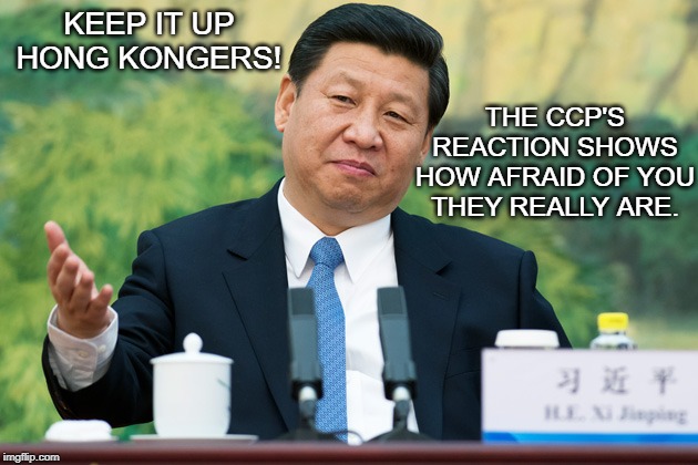 Xi Jinping | KEEP IT UP HONG KONGERS! THE CCP'S REACTION SHOWS HOW AFRAID OF YOU THEY REALLY ARE. | image tagged in xi jinping | made w/ Imgflip meme maker