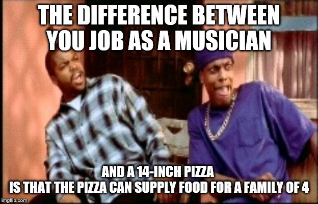 Damnnnn you got roasted | THE DIFFERENCE BETWEEN YOU JOB AS A MUSICIAN; AND A 14-INCH PIZZA 

IS THAT THE PIZZA CAN SUPPLY FOOD FOR A FAMILY OF 4 | image tagged in damnnnn you got roasted | made w/ Imgflip meme maker