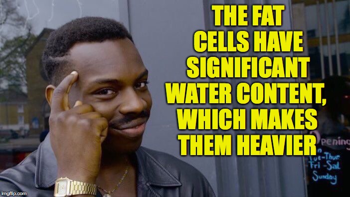 Roll Safe Think About It Meme | THE FAT CELLS HAVE SIGNIFICANT WATER CONTENT, WHICH MAKES THEM HEAVIER | image tagged in memes,roll safe think about it | made w/ Imgflip meme maker