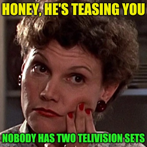 HONEY, HE'S TEASING YOU NOBODY HAS TWO TELIVISION SETS | made w/ Imgflip meme maker