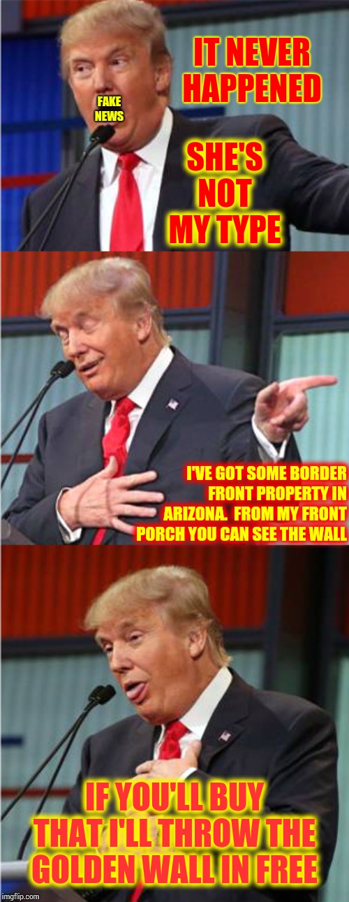 Straight On For You | IT NEVER HAPPENED; SHE'S NOT MY TYPE; FAKE NEWS; I'VE GOT SOME BORDER FRONT PROPERTY IN ARIZONA.  FROM MY FRONT PORCH YOU CAN SEE THE WALL; IF YOU'LL BUY THAT I'LL THROW THE GOLDEN WALL IN FREE | image tagged in bad pun trump,george,country boy,memes,trump unfit unqualified dangerous,liar in chief | made w/ Imgflip meme maker