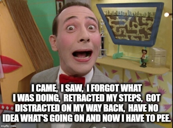 I have to pee | I CAME,  I SAW,  I FORGOT WHAT I WAS DOING,  RETRACTED MY STEPS,  GOT DISTRACTED ON MY WAY BACK,  HAVE NO IDEA WHAT'S GOING ON AND NOW I HAVE TO PEE. | image tagged in pee,alzheimers,forgot,add,memory | made w/ Imgflip meme maker