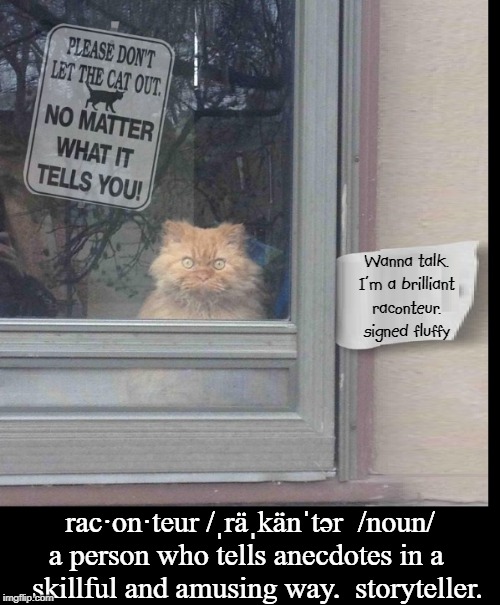 Don't Believe a Word He Says! | Wanna talk. I'm a brilliant raconteur. signed fluffy; rac·on·teur /ˌräˌkänˈtər  /noun/ a person who tells anecdotes in a    skillful and amusing way.  storyteller. | image tagged in vince vance,cats,funny signs,storyteller,cheshire cat,talking cat | made w/ Imgflip meme maker