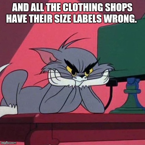AND ALL THE CLOTHING SHOPS HAVE THEIR SIZE LABELS WRONG. | made w/ Imgflip meme maker
