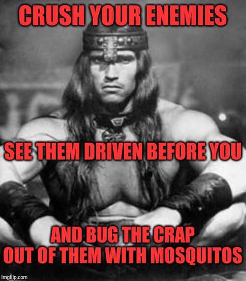 Conan the Barbarian | CRUSH YOUR ENEMIES SEE THEM DRIVEN BEFORE YOU AND BUG THE CRAP OUT OF THEM WITH MOSQUITOS | image tagged in conan the barbarian | made w/ Imgflip meme maker