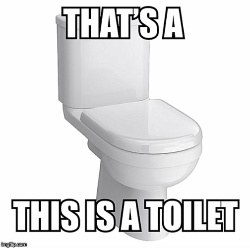 Toilet | image tagged in toilet,toilet humor,toilets | made w/ Imgflip meme maker