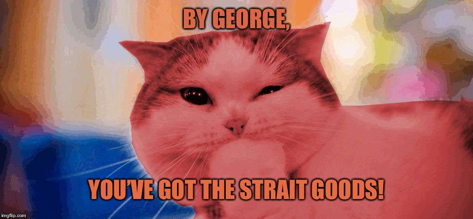 RayCat laughing | BY GEORGE, YOU’VE GOT THE STRAIT GOODS! | image tagged in raycat laughing | made w/ Imgflip meme maker