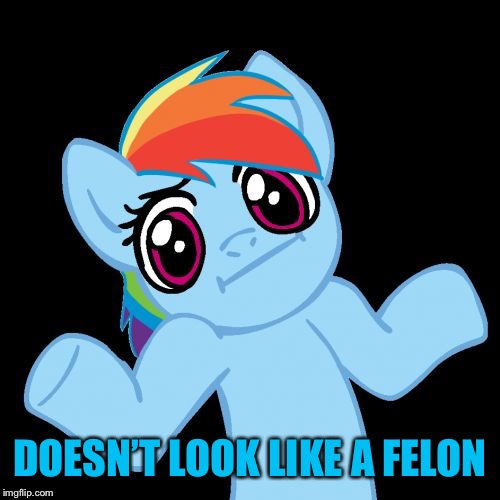 Pony Shrugs Meme | DOESN’T LOOK LIKE A FELON | image tagged in memes,pony shrugs | made w/ Imgflip meme maker