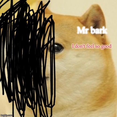 Doge | Mr bark; I don't feel so good | image tagged in memes,doge | made w/ Imgflip meme maker