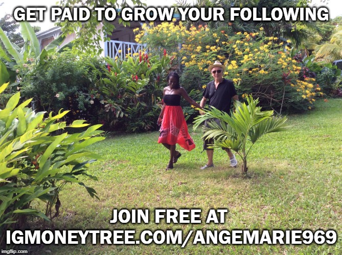 My Garden | GET PAID TO GROW YOUR FOLLOWING; JOIN FREE AT 
IGMONEYTREE.COM/ANGEMARIE969 | image tagged in my garden | made w/ Imgflip meme maker