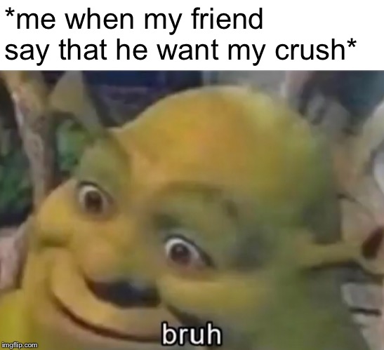 Bro what the fu... | *me when my friend say that he want my crush* | image tagged in crush,shrek,bruh,friendship | made w/ Imgflip meme maker