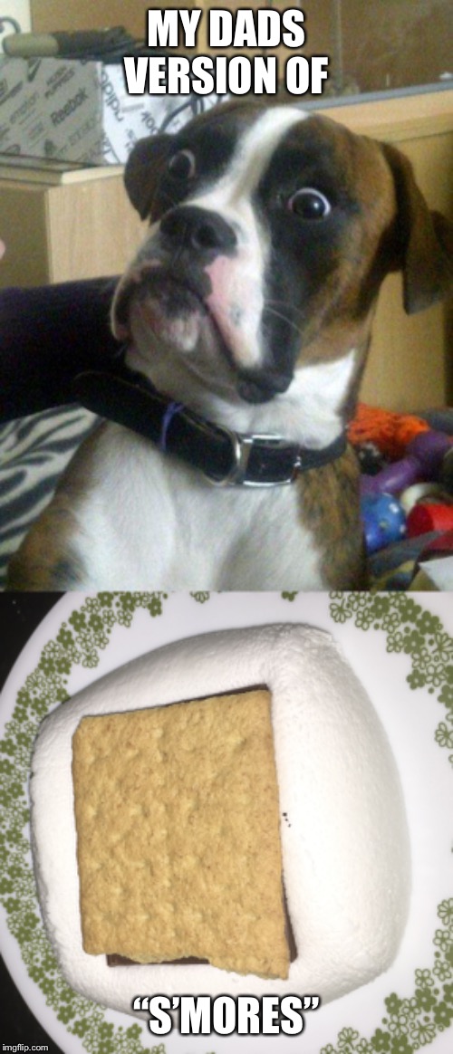 MY DADS VERSION OF; “S’MORES” | image tagged in blankie the shocked dog | made w/ Imgflip meme maker